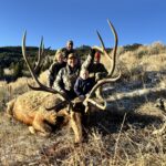 Buda Berman area 58 2025