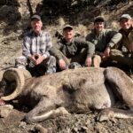 Alan Cole area 3 2025