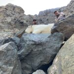 Dave Bishop area 3 2025