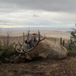 Klay Koll area 58 2025