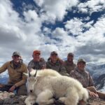 Tad Hubble area 3 2025